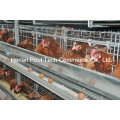 4-5 Tiers H Frame Layer Cage de poulet (Euro Standard)
